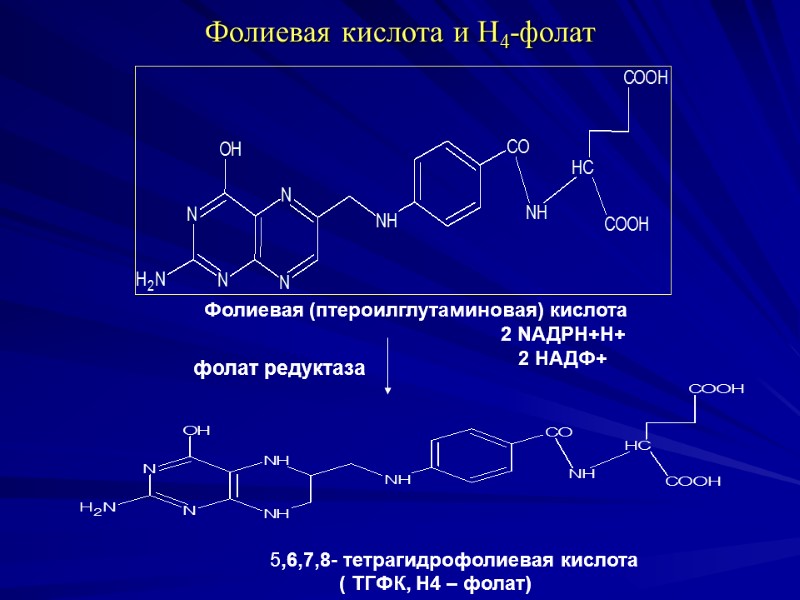 Фолиевая кислота и Н4-фолат Фолиевая (птероилглутаминовая) кислота 2 NАДРН+Н+ Фолиевая кислота и Н4-фолат Фолиевая (птероилглутаминовая) кислота 2 NАДРН+Н+